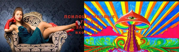 кокс Богданович