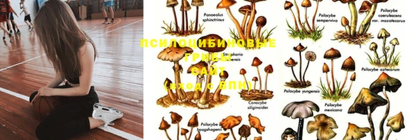 МДПВ Белоозёрский