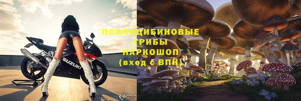 герыч Богородск